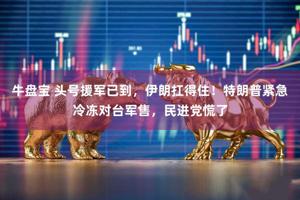牛盘宝 头号援军已到，伊朗扛得住！特朗普紧急冷冻对台军售，民进党慌了