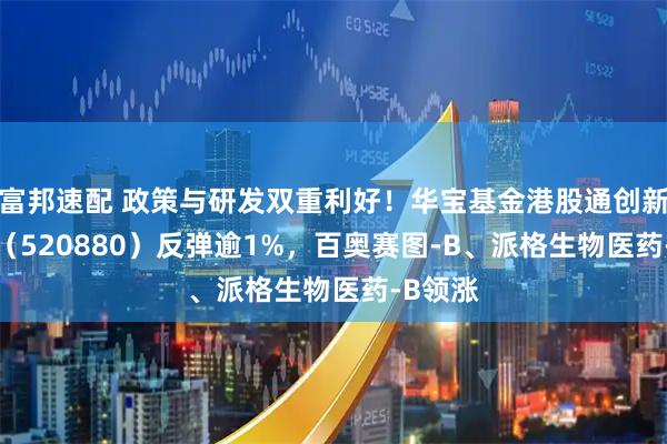 富邦速配 政策与研发双重利好！华宝基金港股通创新药ETF（520880）反弹逾1%，百奥赛图-B、派格生物医药-B领涨