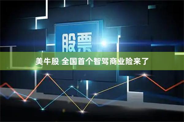 美牛股 全国首个智驾商业险来了