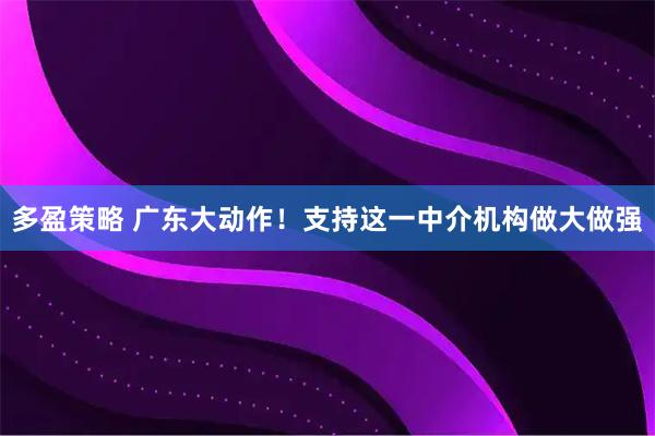 多盈策略 广东大动作！支持这一中介机构做大做强