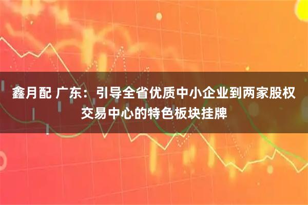 鑫月配 广东：引导全省优质中小企业到两家股权交易中心的特色板块挂牌