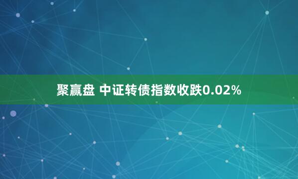 聚赢盘 中证转债指数收跌0.02%