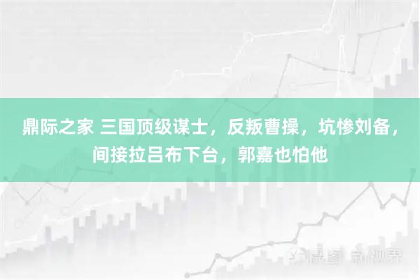 鼎际之家 三国顶级谋士，反叛曹操，坑惨刘备，间接拉吕布下台，郭嘉也怕他